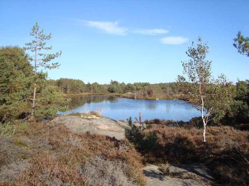 hostn38